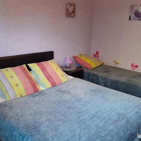 Chambres D'Hotes Les Nefliers Amboise Esterno foto
