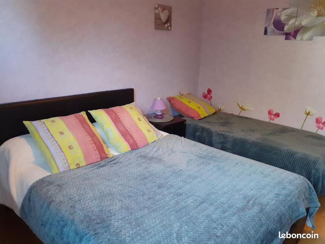Chambres D'Hotes Les Nefliers Amboise Esterno foto