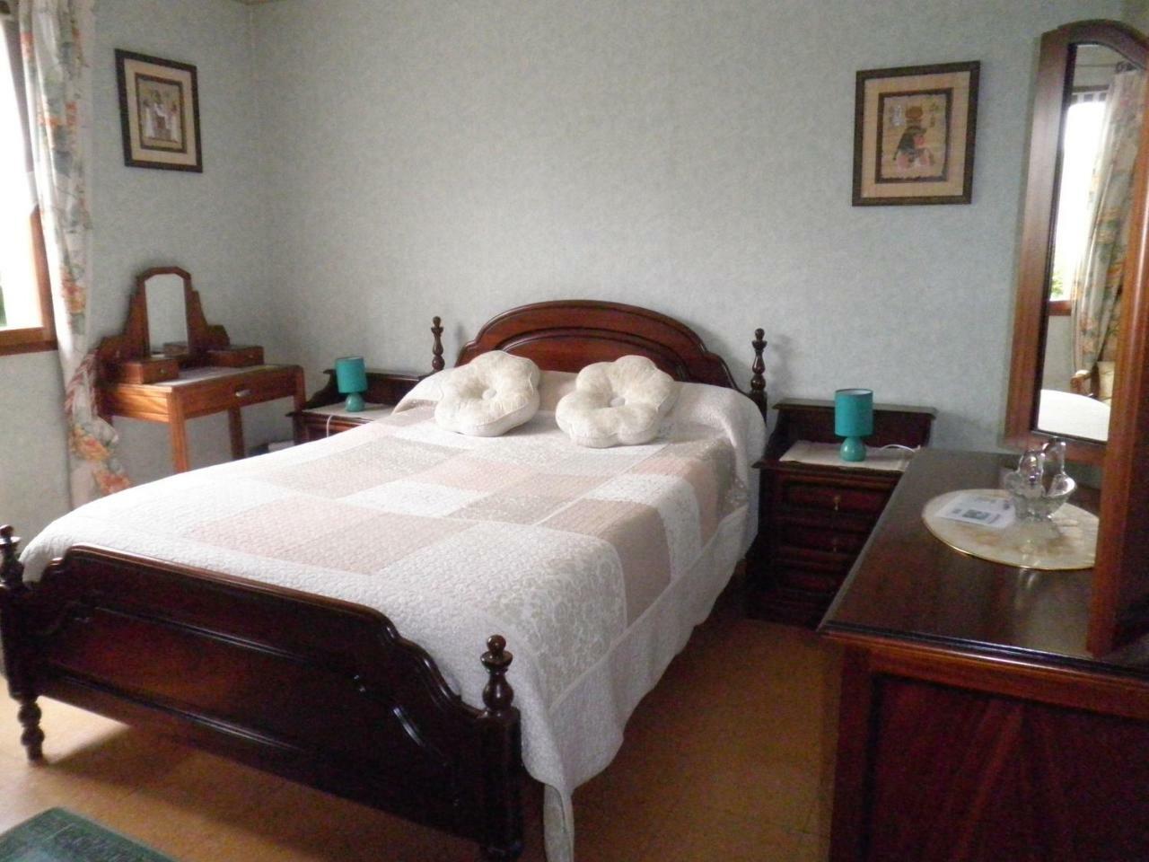 Chambres D'Hotes Les Nefliers Amboise Esterno foto